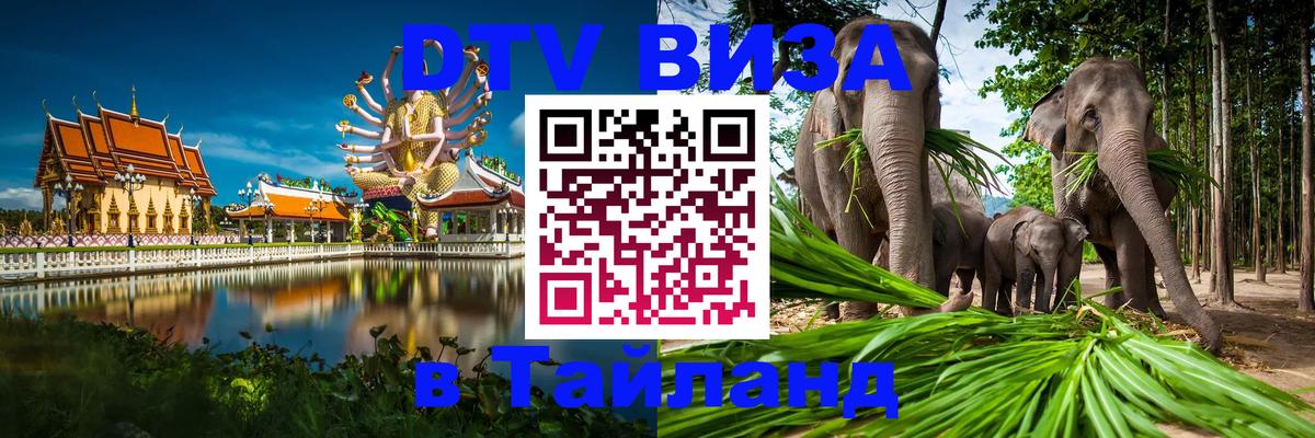 ДТВ VISA Тайланд для фрилансеров Сураттхани 